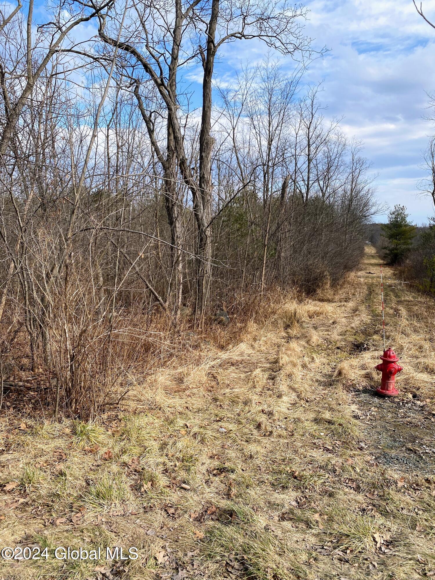 890 Alt-Voorh Road Altamont, NY 12009 - Photo 10 of 11 IMG_5570