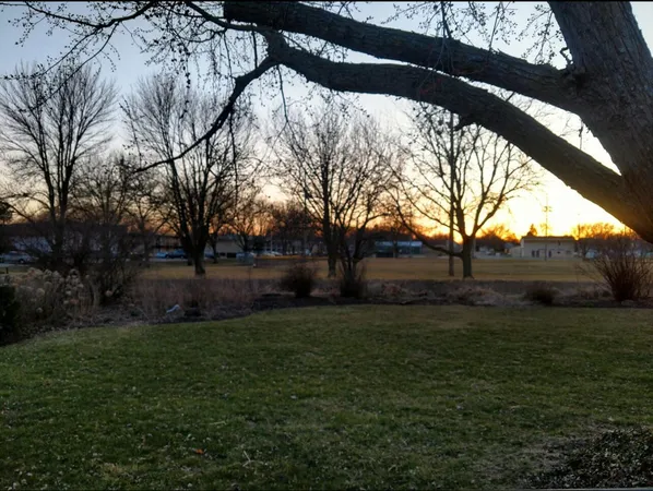 a view of backyard with green space