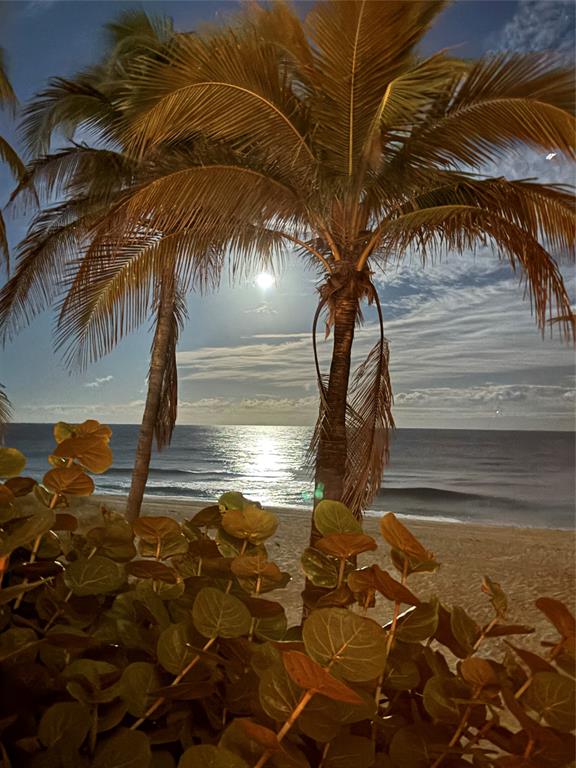 1370 South Ocean Boulevard, Unit 1005 Pompano Beach, FL 33062 - Photo 25 of 27 a view of a backyard of a house