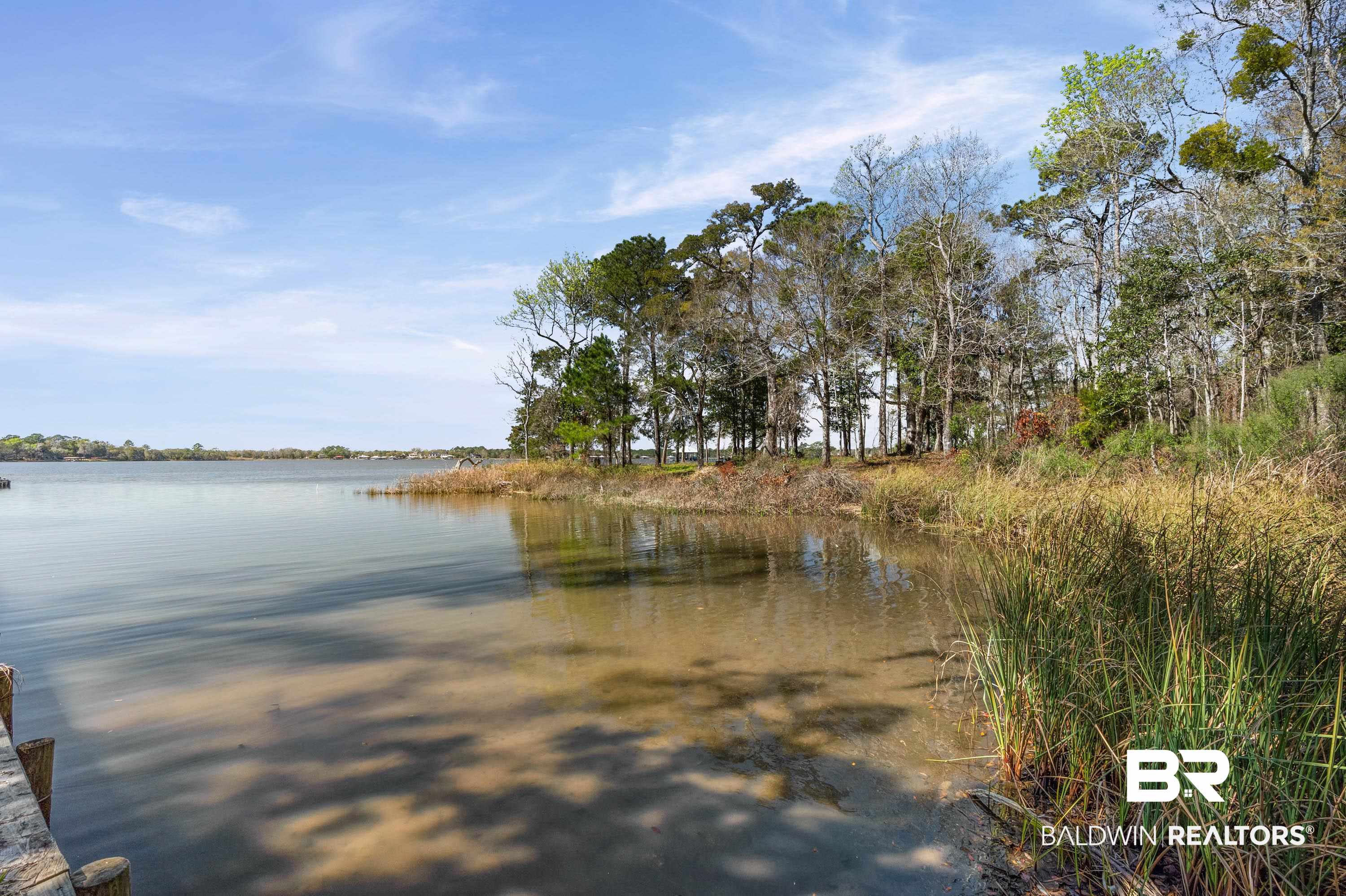 Forrest Street Mobile, AL 36605 - Photo 7 of 19