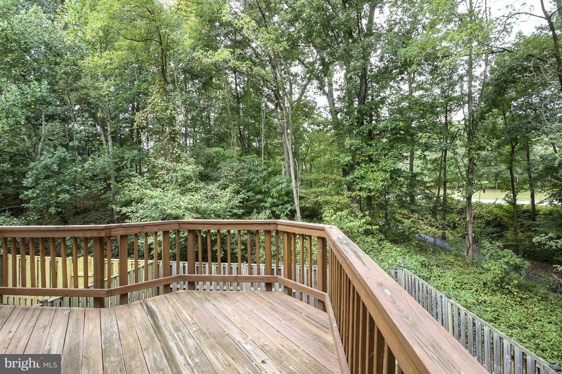 8467 Springfield Oaks Drive Springfield, VA 22153 - Photo 21 of 22 View from back to trail and woods