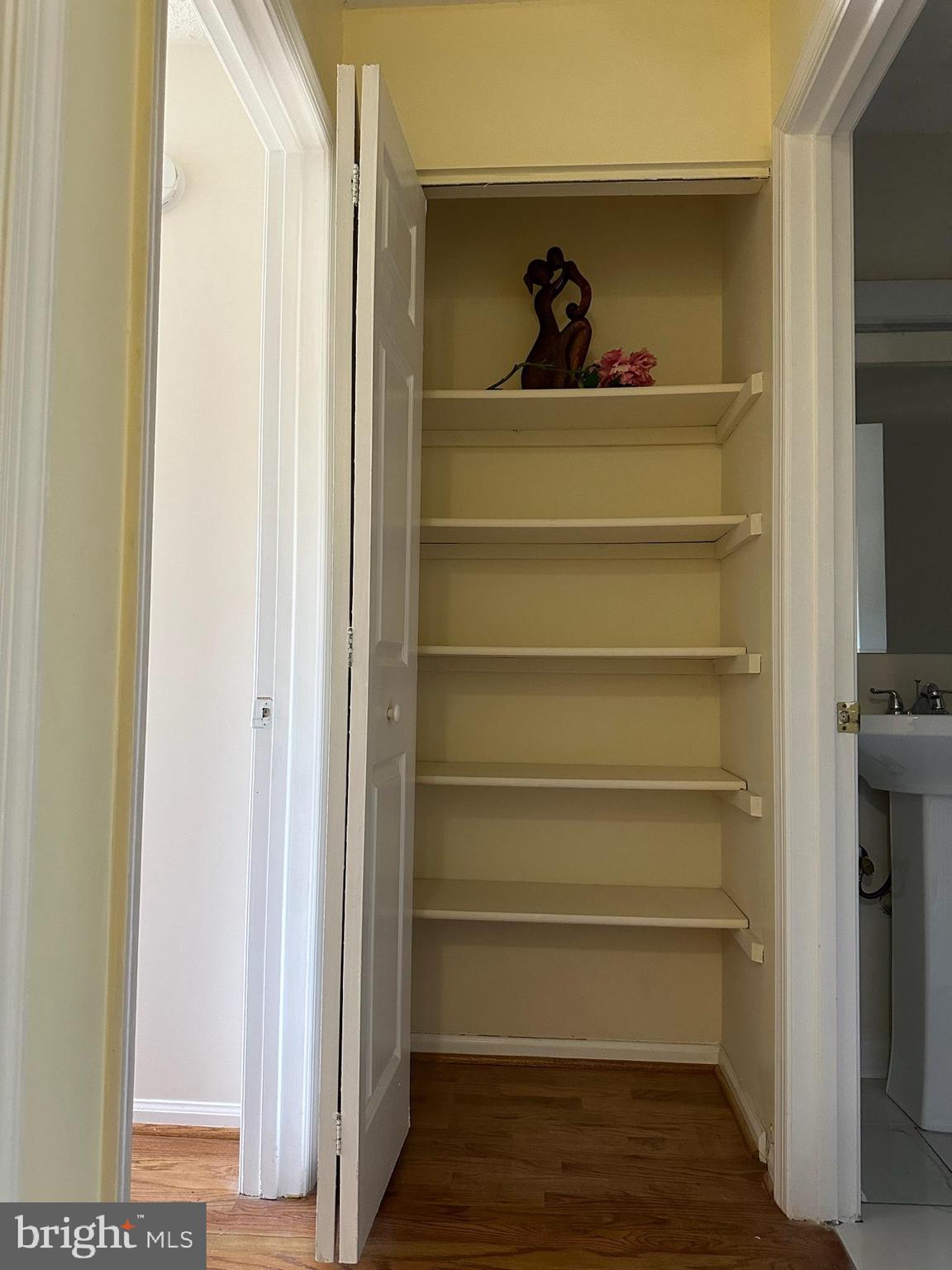10904 Pebble Run Drive Silver Spring, MD 20902 - Photo 17 of 34 LINEN CLOSET