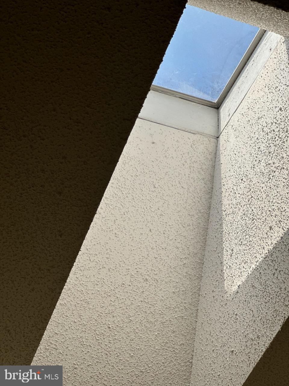 10904 Pebble Run Drive Silver Spring, MD 20902 - Photo 23 of 34 SKYLIGHT-PRIMARY ROOM