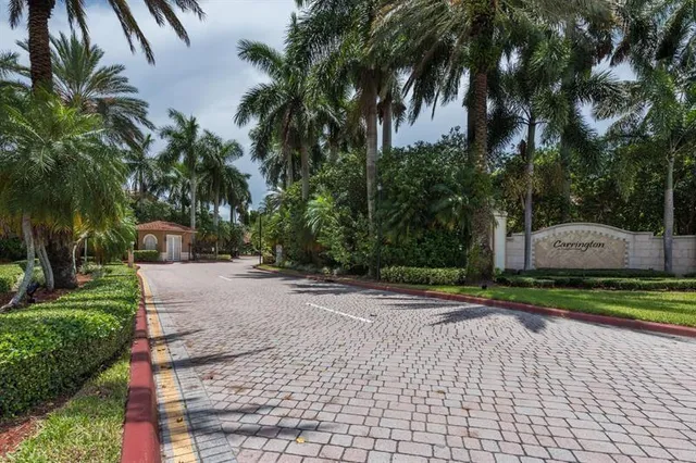 a view of a park with palm trees