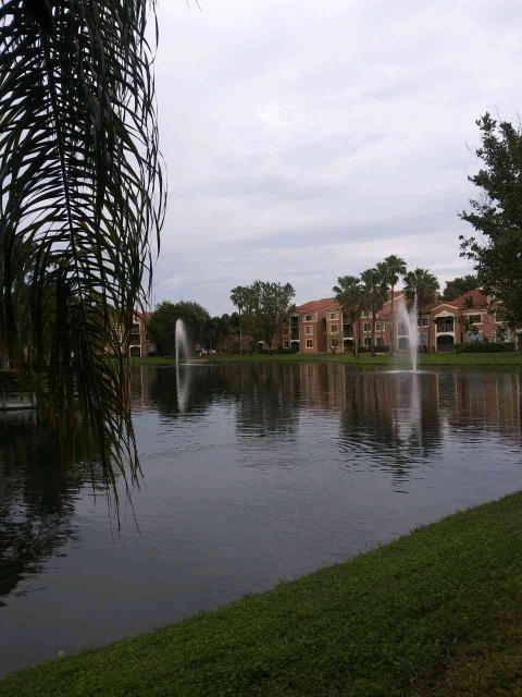 4816 Highway 7, Unit 11203 Coconut Creek, FL 33073 - Photo 25 of 35 a lake view with a garden