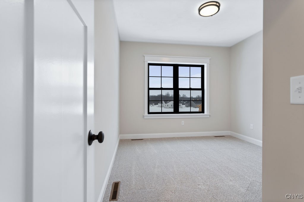 366 Forest Ridge Lysander, NY 13027 - Photo 29 of 50