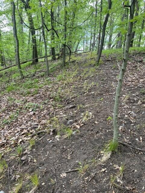 Parcel A West County Line Road Greenville, MI 48838 - Photo 2 of 14 P1