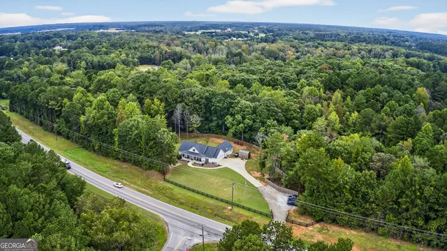 a view of a forest with a mountain