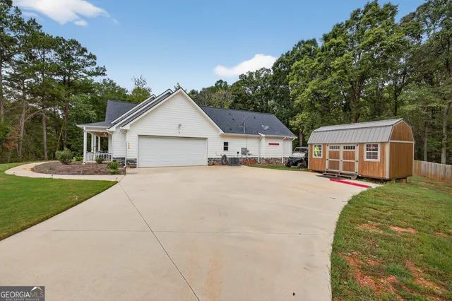 a bird view of a forest