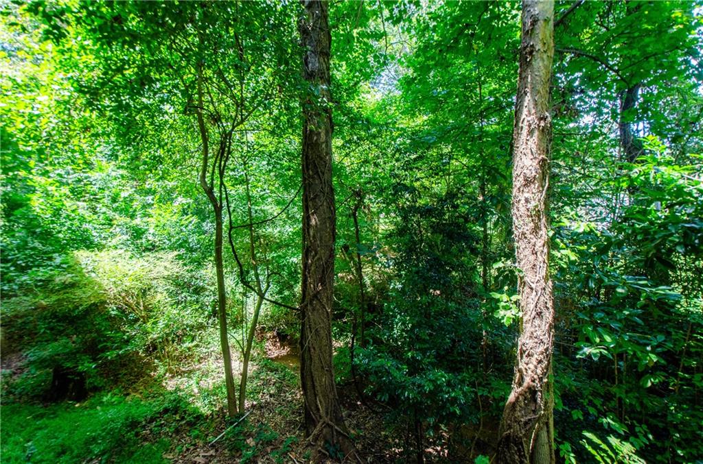 5157 Roswell Road, Unit 2 Atlanta, GA 30342 - Photo 22 of 24 a view of forest