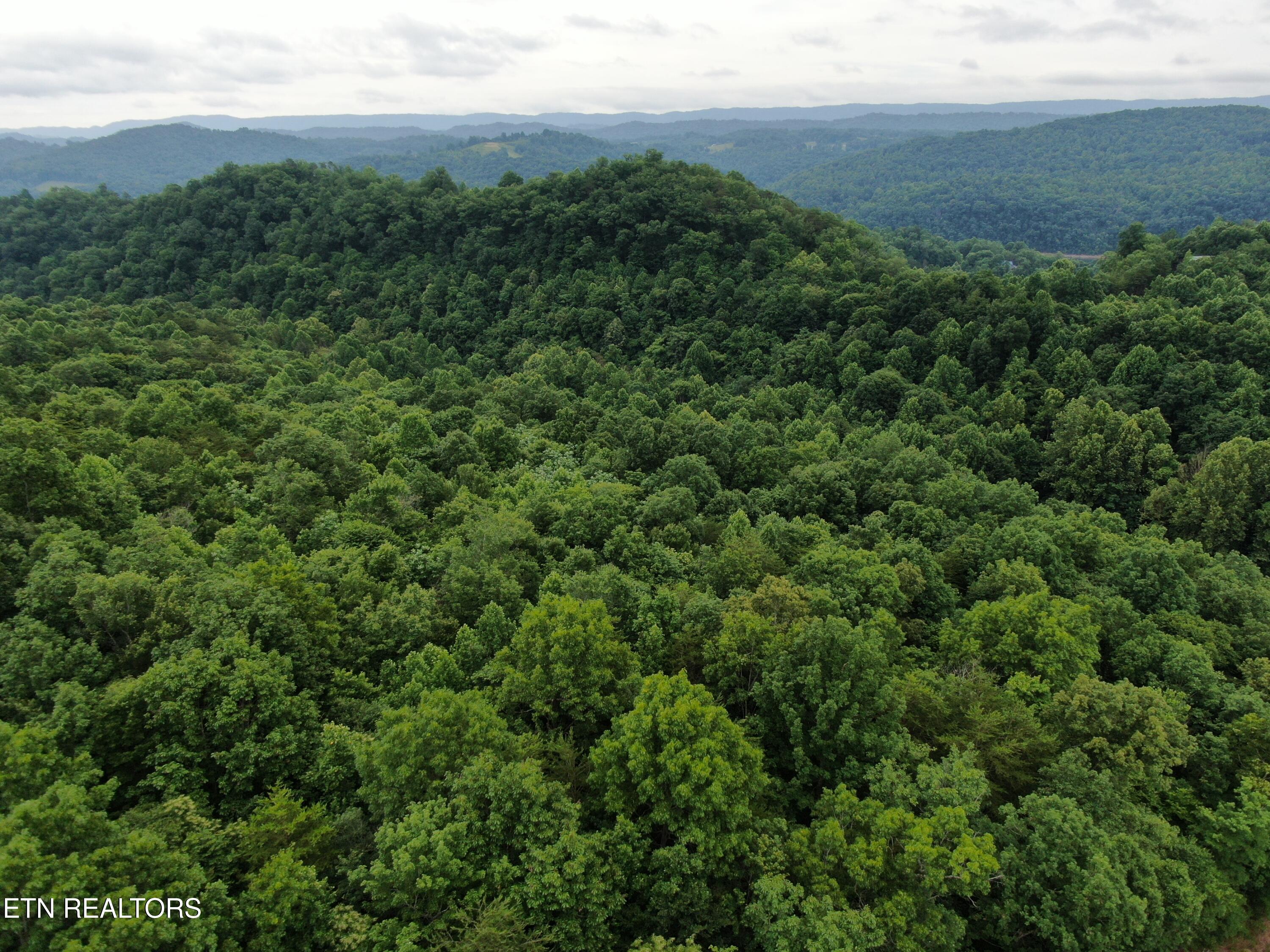 171 Bluff View Road New Tazewell, TN 37825 - Photo 8 of 27 DJI_0390