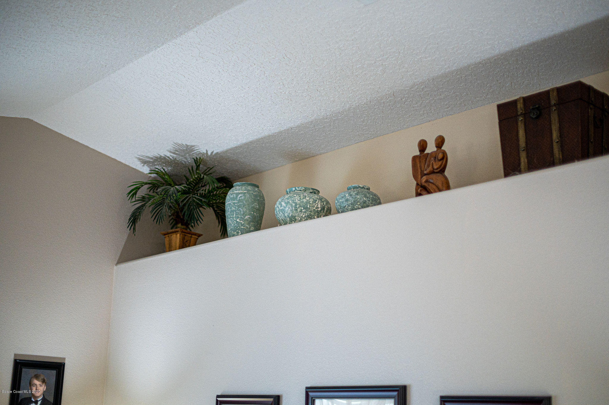 1253 Haulover Road Southwest Palm Bay, FL 32908 - Photo 48 of 52 a close up of a wall with a potted plant