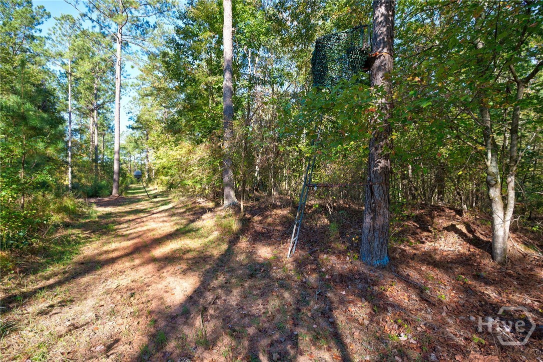 1 Bridges Road Carlton, GA 30627 - Photo 11 of 33