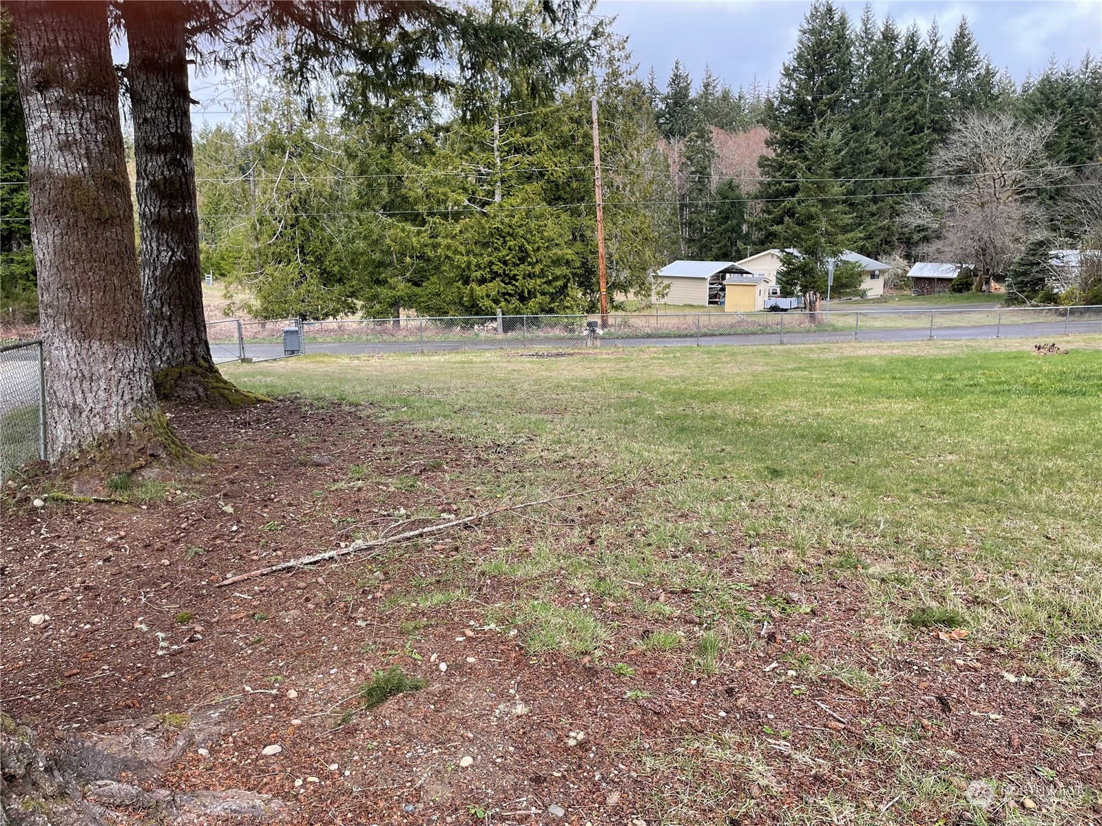 200 Southeast Harrier Road Shelton, WA 98584 - Photo 3 of 23 a view of a yard with a tree