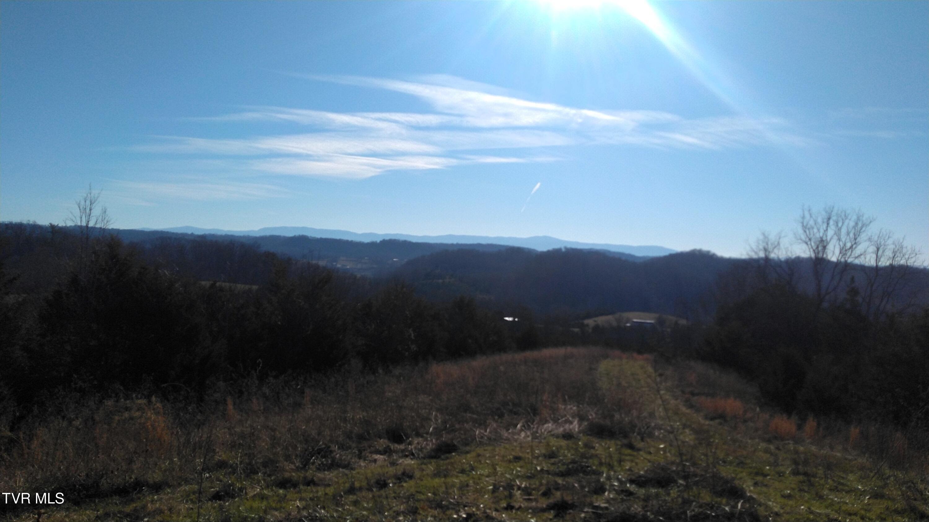 0 Roaring Fork Road Greeneville, TN 37745 - Photo 1 of 22 Roaring Fork Rd