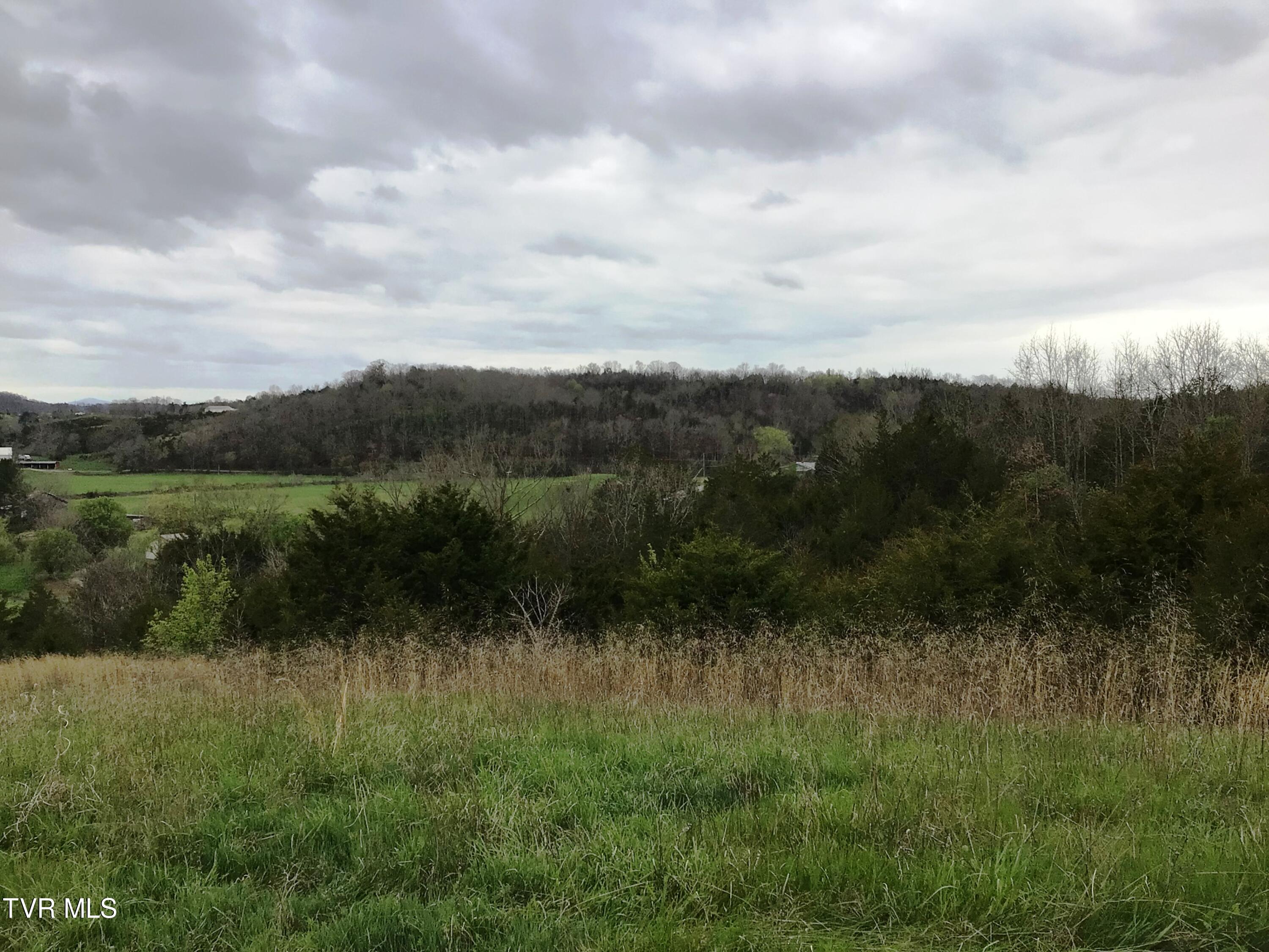 0 Roaring Fork Road Greeneville, TN 37745 - Photo 11 of 22 Roaring Fork Rd