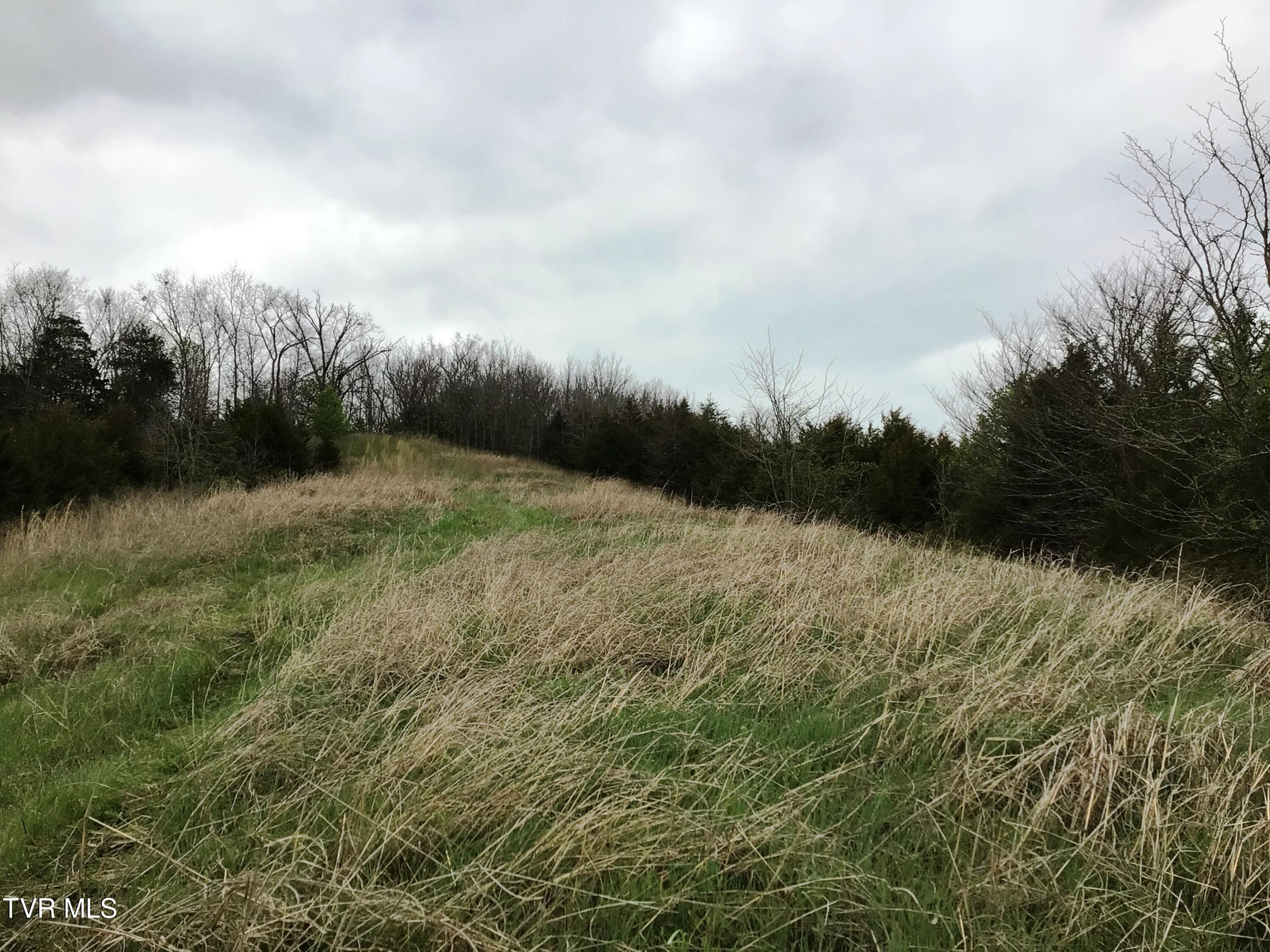 0 Roaring Fork Road Greeneville, TN 37745 - Photo 12 of 22 Roaring Fork Rd