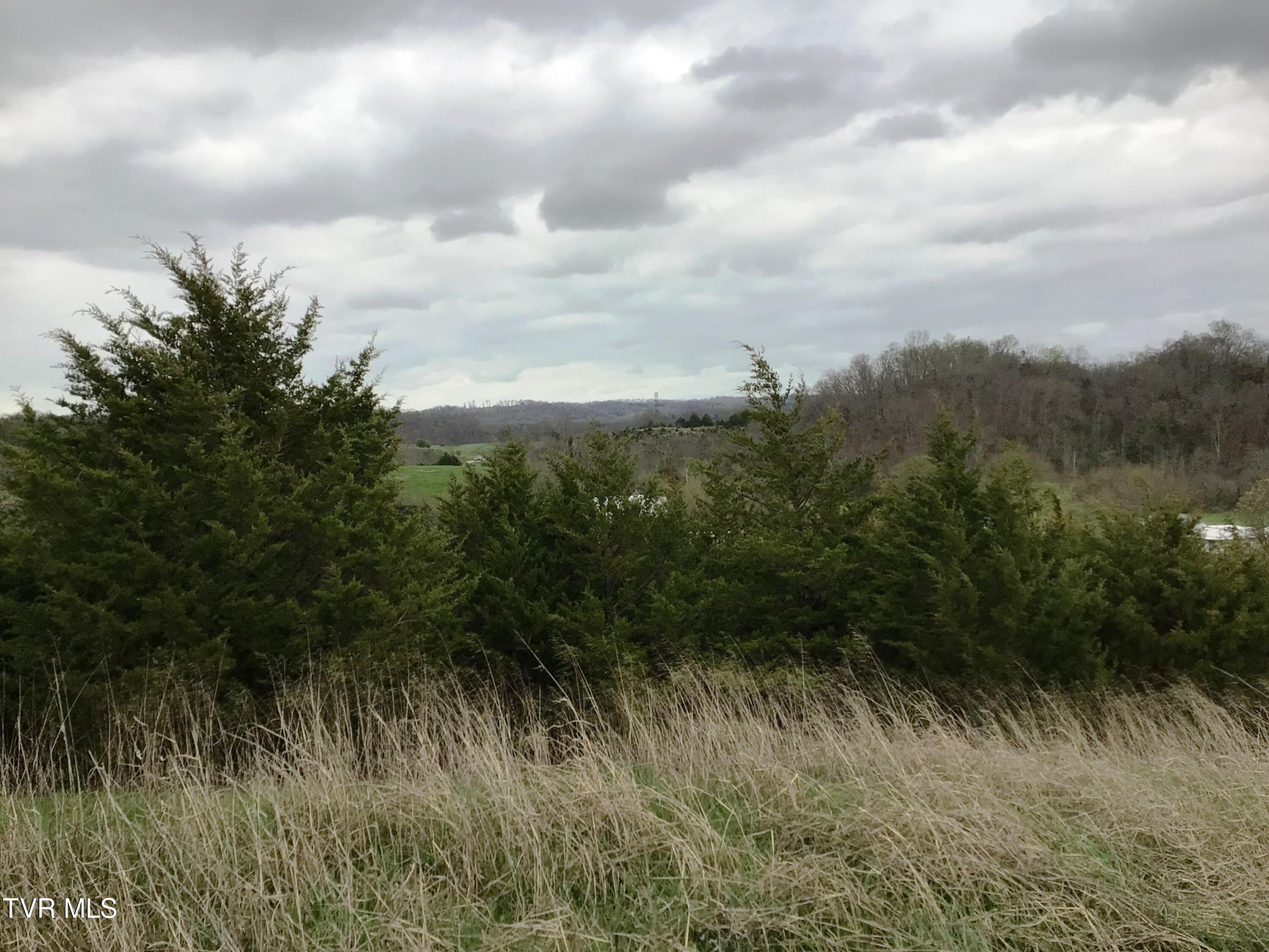 0 Roaring Fork Road Greeneville, TN 37745 - Photo 13 of 22 Roaring Fork Rd
