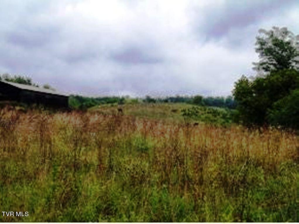 0 Roaring Fork Road Greeneville, TN 37745 - Photo 17 of 22 Roaring Fork Rd