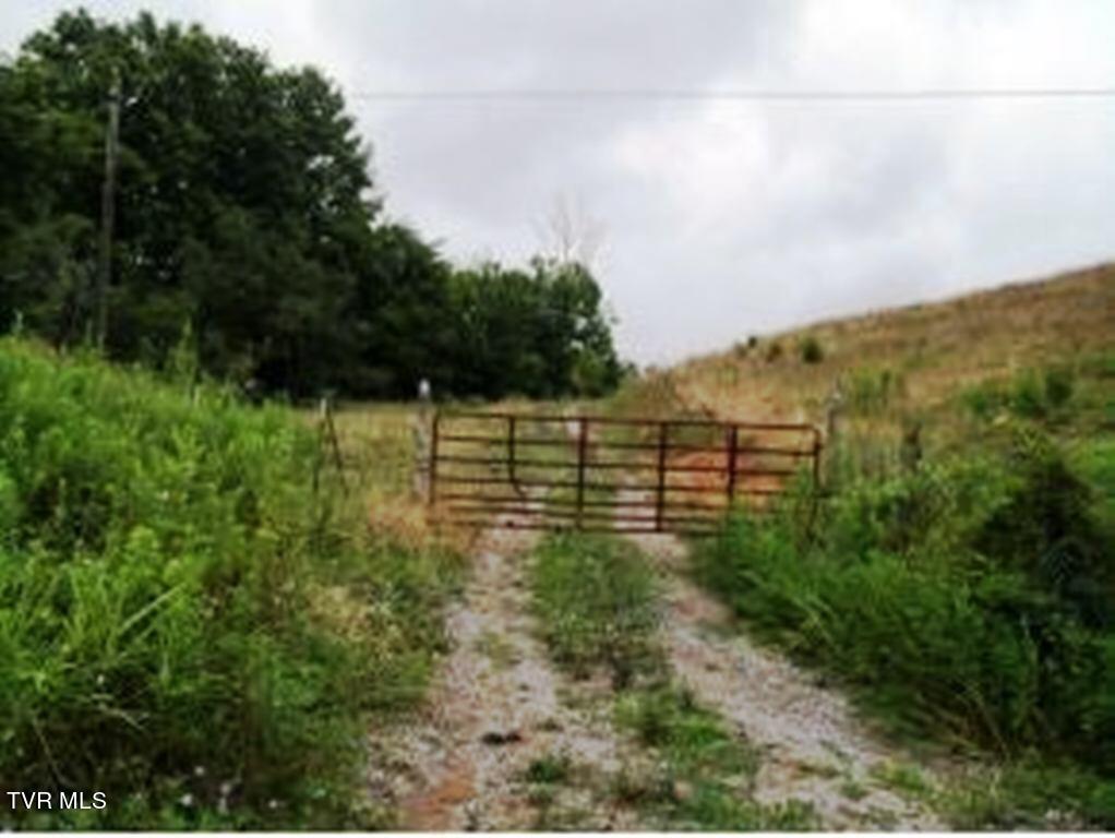 0 Roaring Fork Road Greeneville, TN 37745 - Photo 19 of 22 Roaring Fork Rd