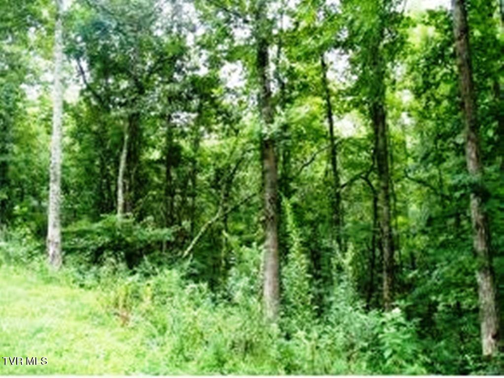0 Roaring Fork Road Greeneville, TN 37745 - Photo 20 of 22 Key Ln