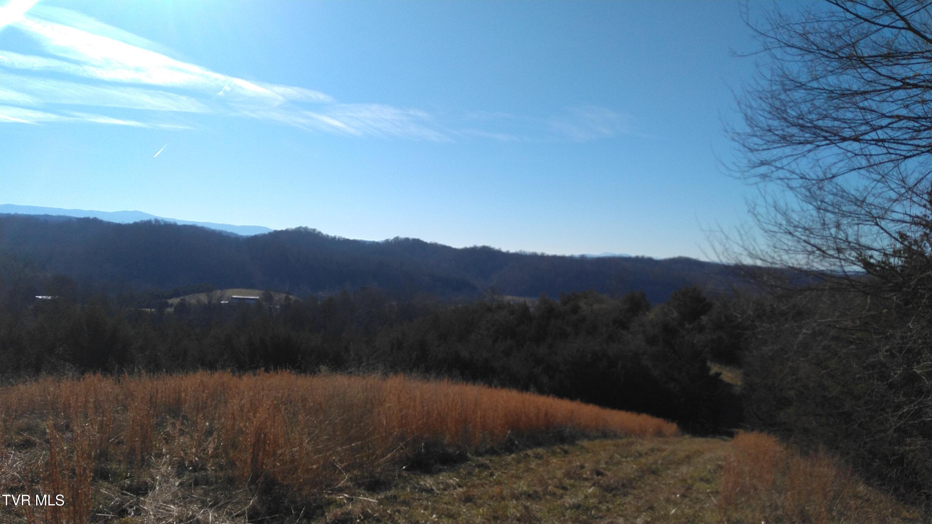 0 Roaring Fork Road Greeneville, TN 37745 - Photo 2 of 22 Roaring Fork Rd