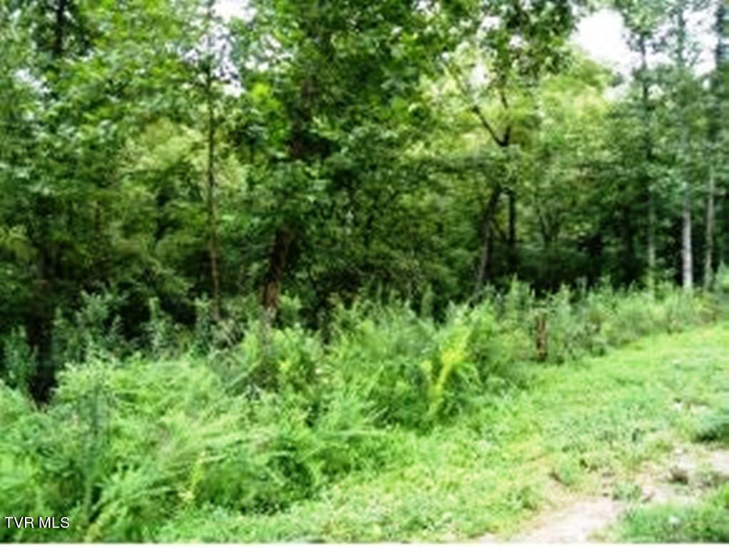 0 Roaring Fork Road Greeneville, TN 37745 - Photo 21 of 22 Key Ln