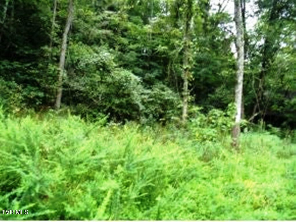 0 Roaring Fork Road Greeneville, TN 37745 - Photo 22 of 22 Key Ln