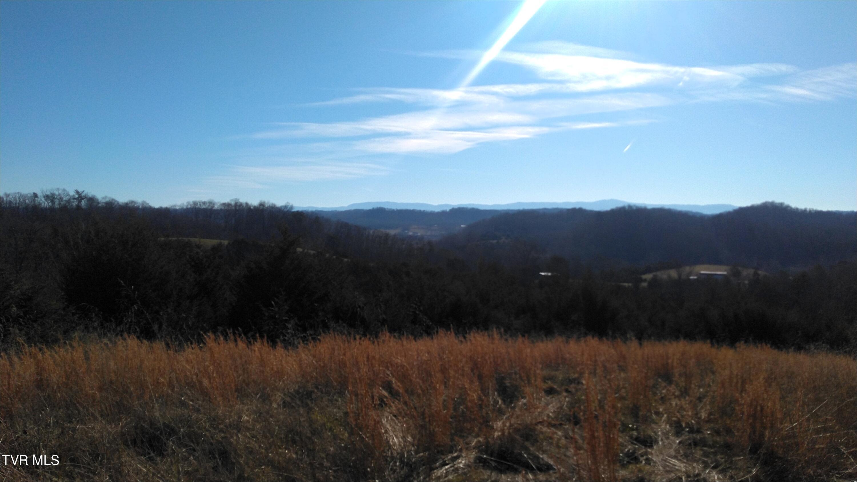 0 Roaring Fork Road Greeneville, TN 37745 - Photo 3 of 22 Roaring Fork Rd