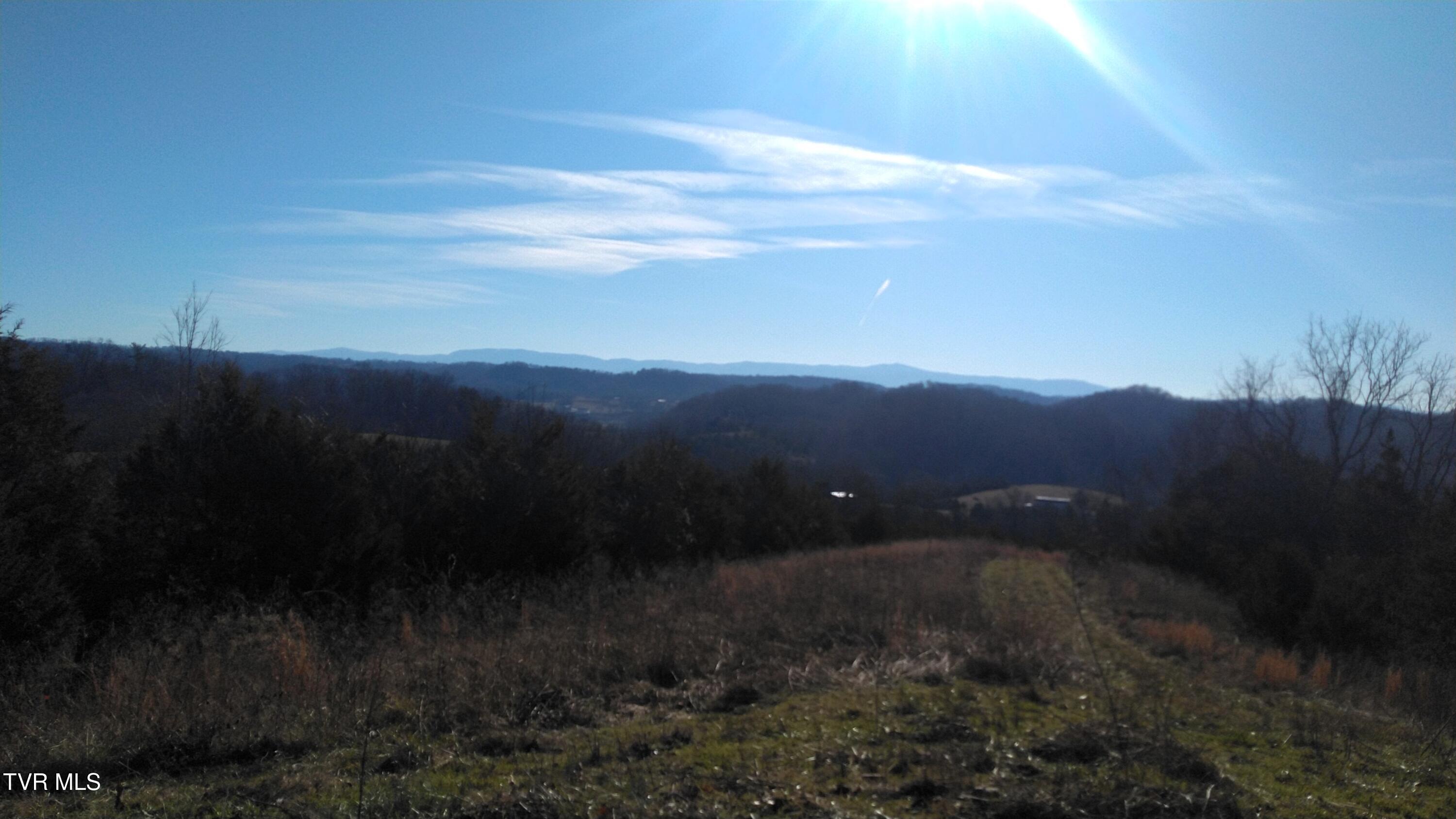 0 Roaring Fork Road Greeneville, TN 37745 - Photo 4 of 22 Roaring Fork Rd