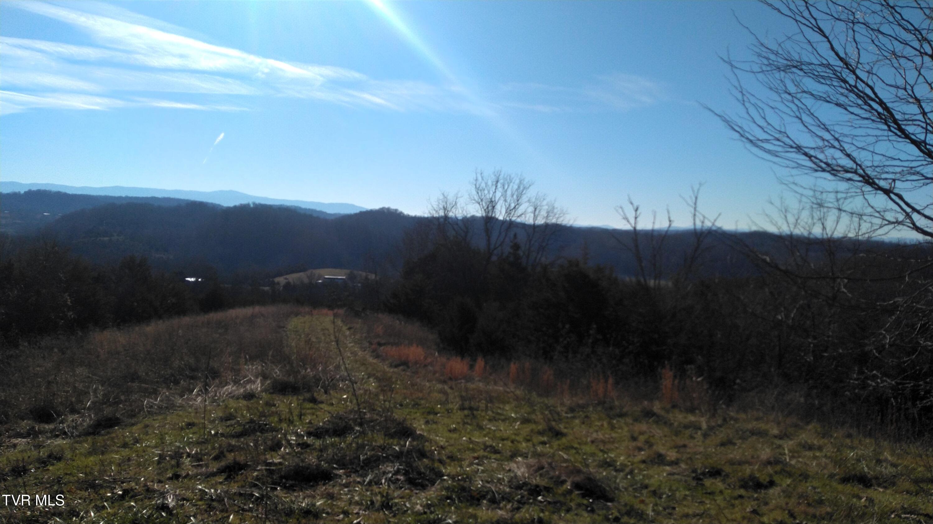 0 Roaring Fork Road Greeneville, TN 37745 - Photo 5 of 22 Roaring Fork Rd