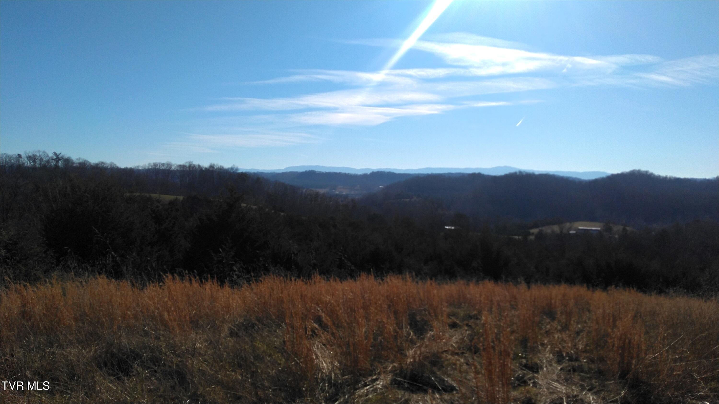 0 Roaring Fork Road Greeneville, TN 37745 - Photo 6 of 22 Roaring Fork Rd