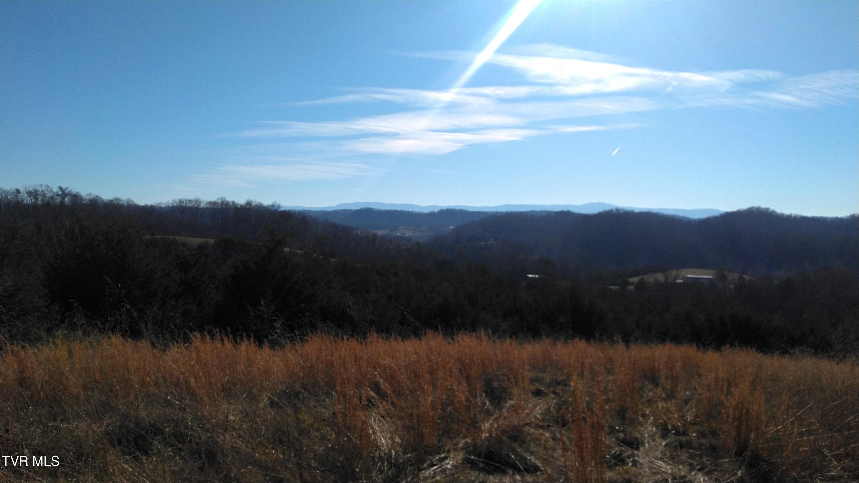 0 Roaring Fork Road Greeneville, TN 37745 - Photo 7 of 22 Roaring Fork Rd
