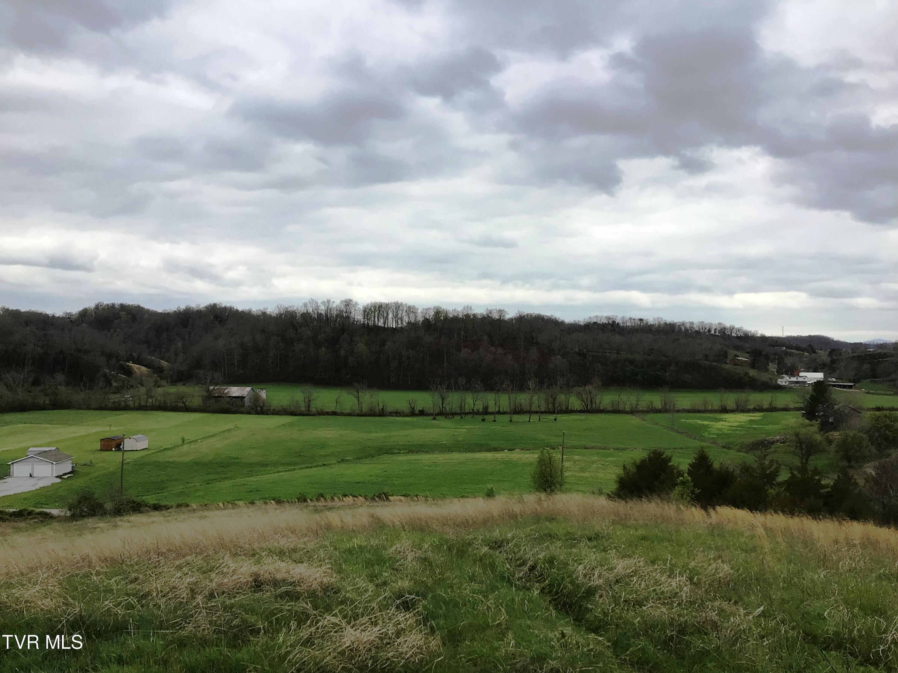 0 Roaring Fork Road Greeneville, TN 37745 - Photo 8 of 22 Roaring Fork Rd