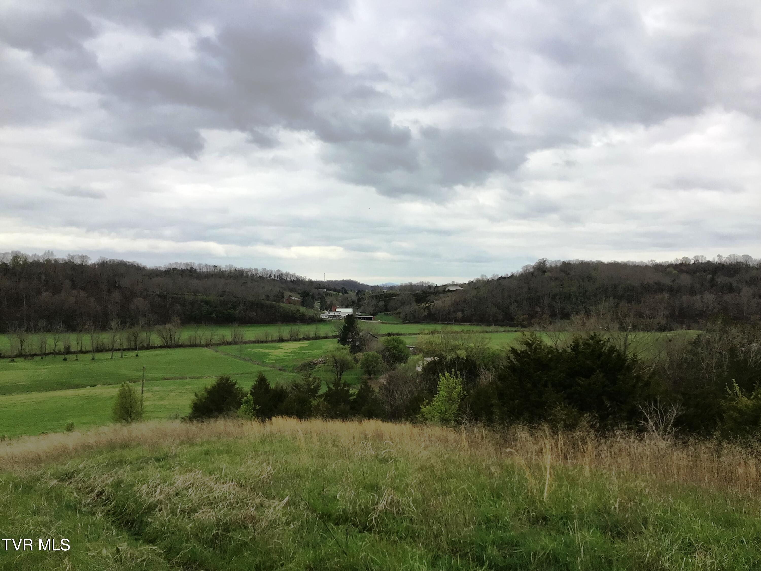 0 Roaring Fork Road Greeneville, TN 37745 - Photo 9 of 22 Roaring Fork Rd