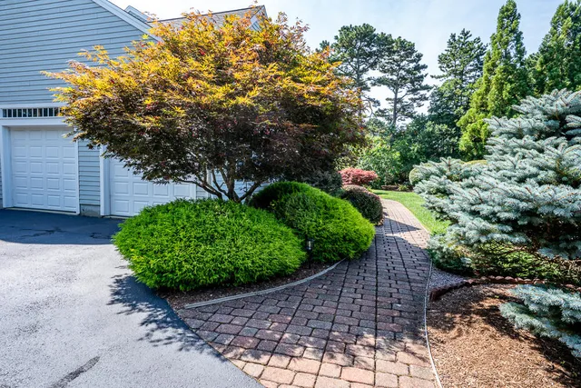 a view of a garden with plants