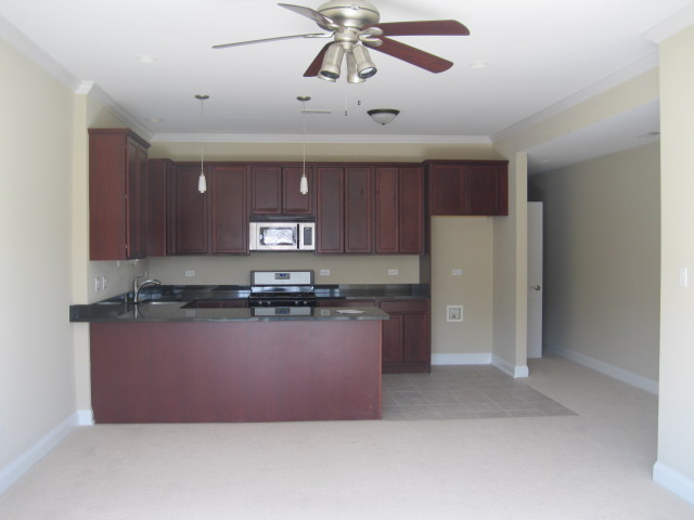 4648 West 63rd Street, Unit 1 Chicago, IL 60629 - Photo 4 of 11