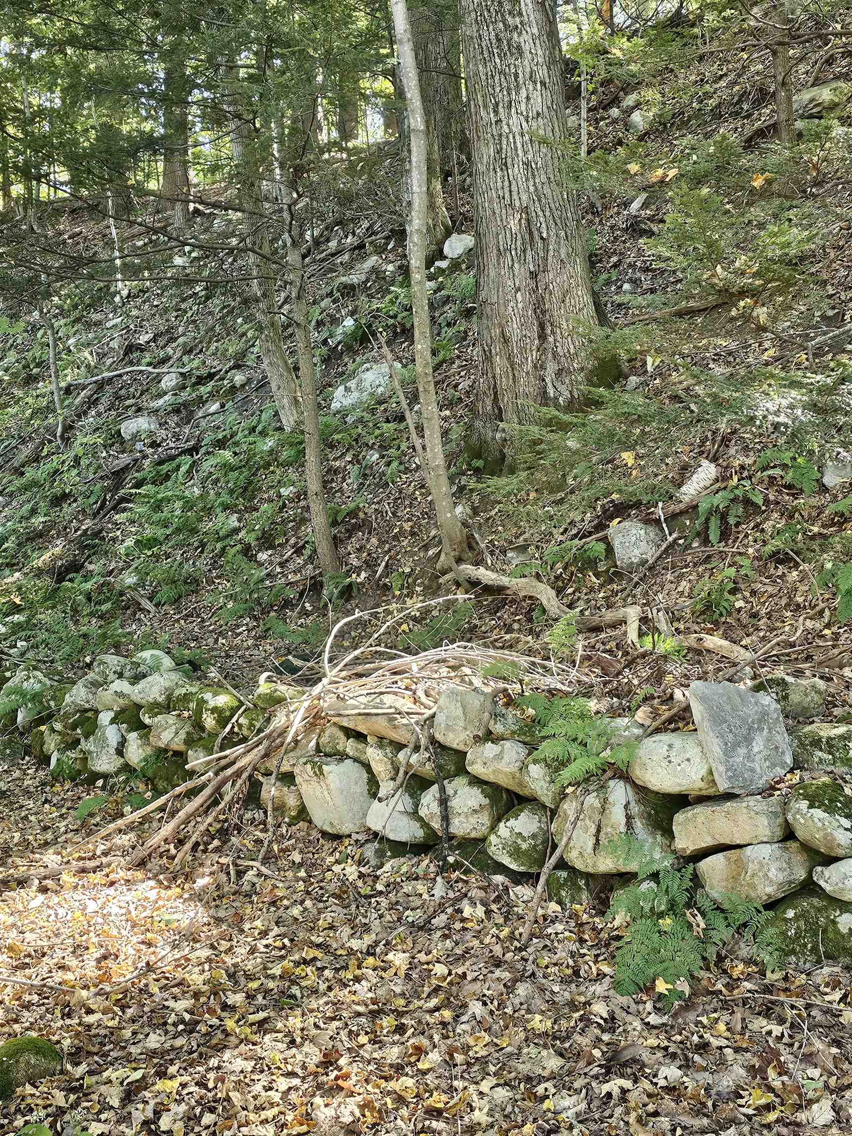 508 Barney Road Bennington, VT 05201 - Photo 9 of 60