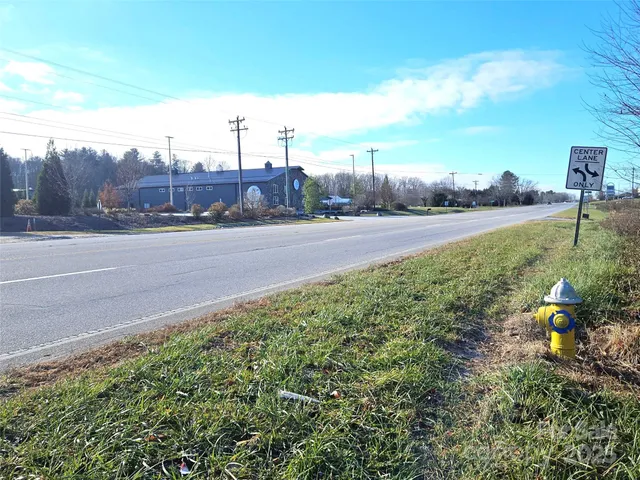 a street view with large trees and cars parked in front of it