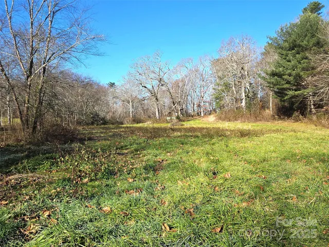 a yard with swimming pool and trees