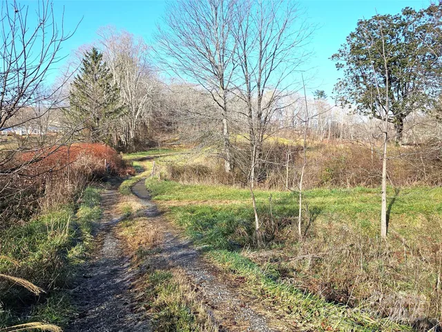 a view of backyard with green space
