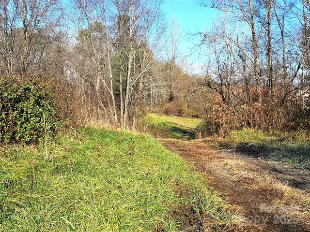 a view of backyard with green space
