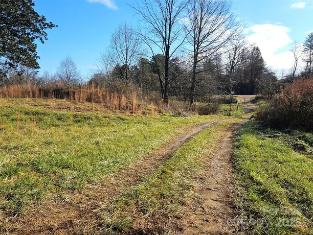 a view of a yard with trees