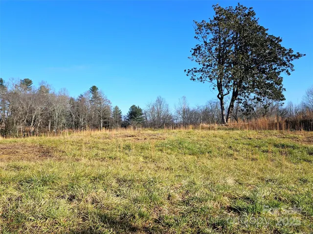 a view of yard with trees