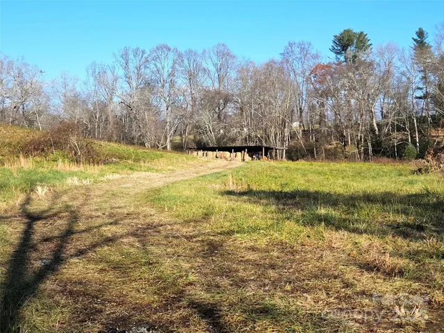 a view of a yard with trees