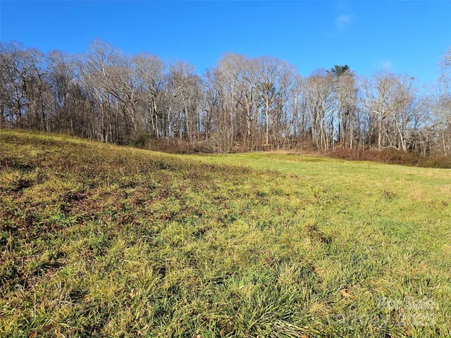 a view of large yard with large trees