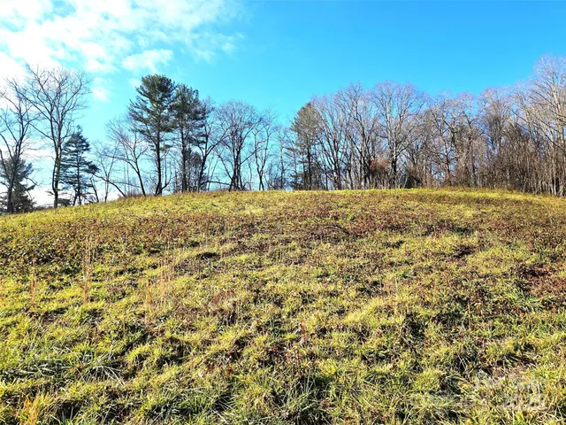 a view of a yard with trees