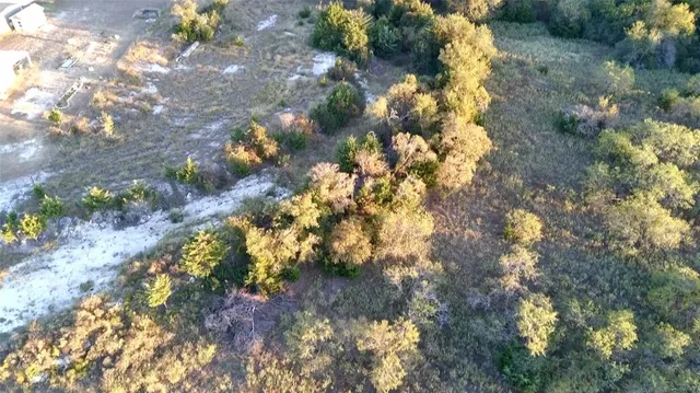 a view of a tree in a yard