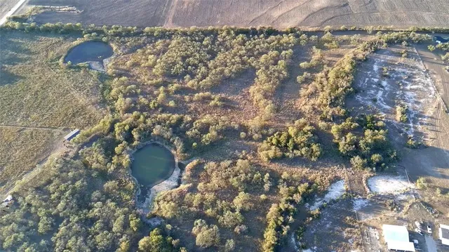 a plant that is in a yard