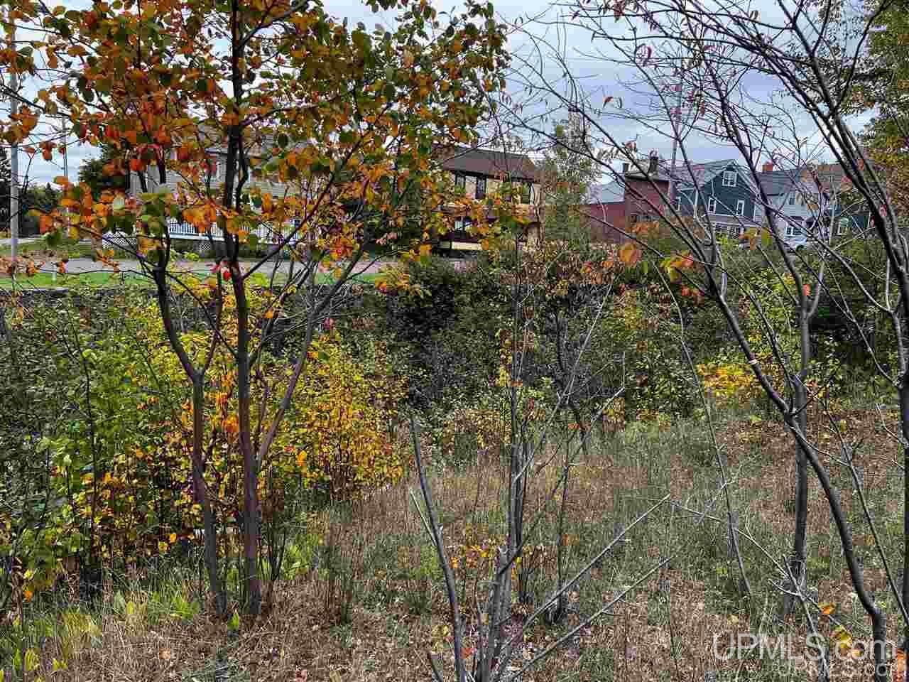 Tbd West Main Street, Unit 1 Mohawk, MI 49950 - Photo 11 of 16 Gallery Image 11